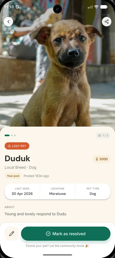 A lost-pet post in PawPals: a brown puppy named Duduk, last seen in Moratuwa, with a reward badge and a Mark as resolved button